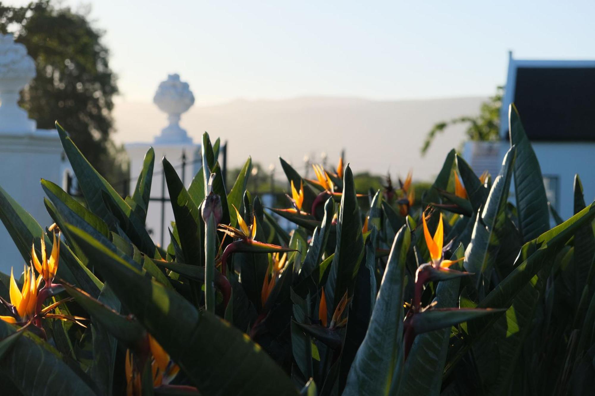 Adara Palmiet Valley Luxurious Boutique Farm Hotel Paarl Luaran gambar